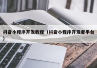 抖音小程序开发教程（抖音小程序开发者平台）