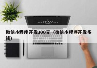 微信小程序开发300元（微信小程序开发多钱）