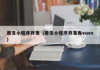 原生小程序开发（原生小程序开发有vuex）