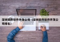 深圳软件软件开发公司（深圳软件软件开发公司排名）